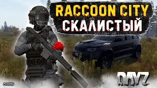 DAYZ PVE | СМОТРИМ АЛЬКАТРАС, ПОТОМ СКАЛИСТЫЙ | 2-ой СЕРВЕР RACCOON CITY #5