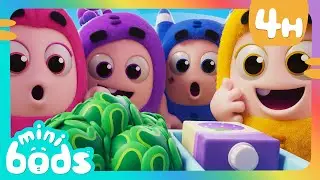 Yes Yes Vegetables! 🫛🫑 | Minibods | Preschool Cartoons for Toddlers