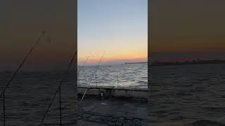 рыбалка в Турции, Эгейское море
