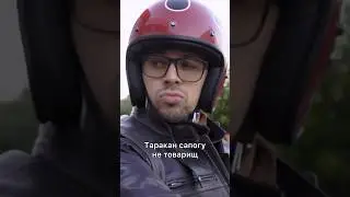 Типичные байкеры 