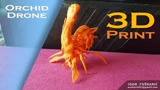 Orchid Spaceship - Posed 3D Print