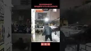 СЛАВА БОГУ КРЕПКИЙ МУЖИК, А ЕСЛИ БЫ СТАРИКИ ИЛИ МАТЬ С РЕБЁНКОМ 🆘🆘🆘 