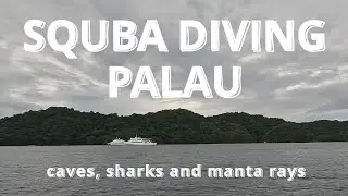 Palau SQUBA dive