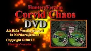 Air Rifle Hunting DVD, Corvid Chaos by HuntersVermin 2011