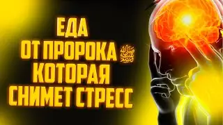 1 ЕДА ОТ ПРОРОКА ﷺ, КОТОРАЯ ИЗБАВИТ ВАС ОТ СТРЕССА, ПЕЧАЛИ И ГОРЯ! Dawah медиа