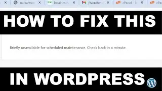 How To Fix Briefly Unavailable for Scheduled Maintenance  Check Back in a Minute