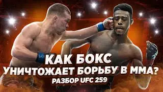 Боксеры, УНИЧТОЖАЮЩИЕ борцов в ММА: Разбор боя Ян vs. Стерлинг на UFC 259