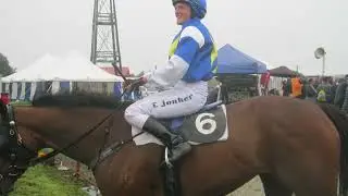 Heavy Going Specialist Betting System 🏇💨