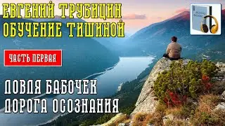 Евгений Трубицин. Обучение тишиной. Часть 1.