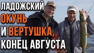 Ладожский окунь и вертушка, конец августа.