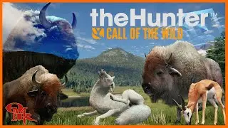 NEW TruRacs Hunting for Initial DIAMOND & RARE Ep 47 - After Emerald - theHunter: Call of the Wild