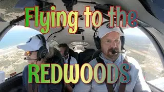 Flying to see the Giant Redwood Trees