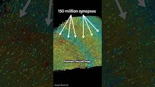 This is the Most Detailed Brain Map EVER 🧠🤯