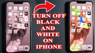 How to turn off screen black and white on iphone 13