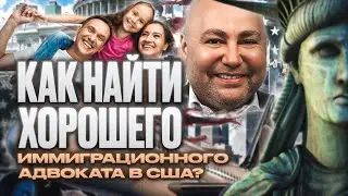 КАК найти хорошего иммиграционного адвоката в США, легализация в США 