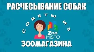 Расчески для собак | Как выбрать расческу для собак | Виды расчесок | Советы из зоомагазина