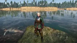 I've been here many times but I haven't seen this yet - Witcher 3