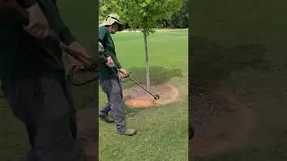 Edging UGLY Tree Ring With Weedeater