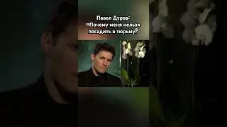 Павел Дуров: «Меня невозможно посадить в тюрьму» 