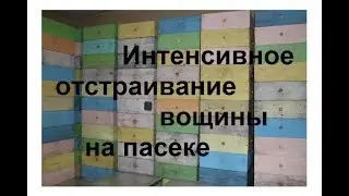 Интенсивное отстраивание вощины на пасеке