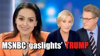 Lefties Losing It: MSNBC Tries to Discredit Trump and FAIL | New Numbers SCARING The Left AND MORE