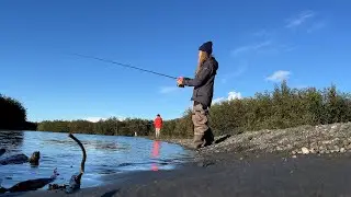 I went fishing for salmon in Alaska