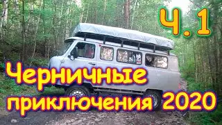 Поехали за черникой, а приехали....!!! Ч.1 (07.20г.) Семья Бровченко.