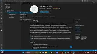 How to connect Postgresql with vscode