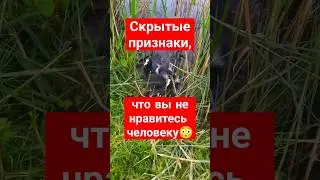 Скрытые признаки, что вы не нравитесь человеку.