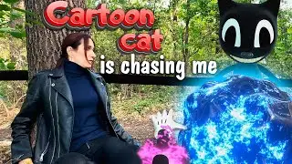 Cartoon Cat is chasing me