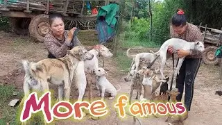 Breeding dogs because of this one thing