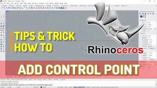 Rhino How To Add Control Points