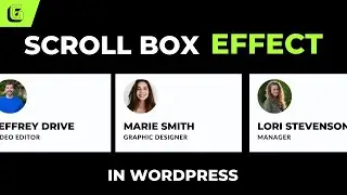 How to Create Scroll Box Effect in Wordpress | Wordpress Tips