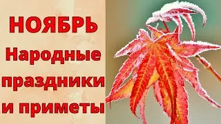 Это НУЖНО знать! НОЯБРЬ. Народные приметы и праздники НОЯБРЯ.