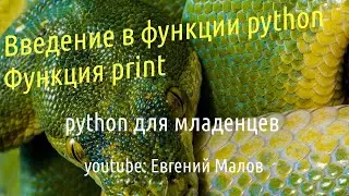 Введение в функции python. функция print