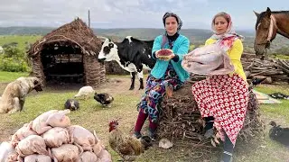 Nomadic Life in Iran! Cooking Chickens and Stuffed Turkey In Scenic Mountains