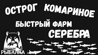 Быстрый фарм серебра для новичков. Озеро комариное, старый острог. Лещ, карась. Русская рыбалка 4.