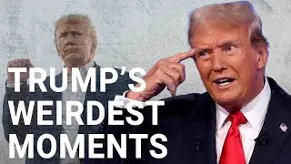 Donald Trumps most insane moments