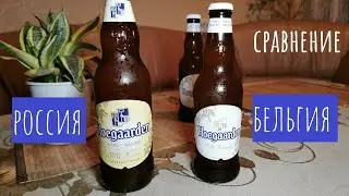 Пиво Hoegaarden (Хугарден)! Наш и их! Сравнение!!!