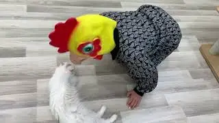 Chicken mask make cats nervous