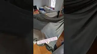 See this as your sign to build a blanket fort ⛺ #catshorts #blanketfort #cozy