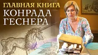 Главная книга о животных XVI века Конрада Геснера. Варвара Миронова