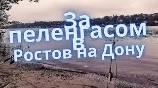 Рыбалка в Ростове-на-Дону. Рыбалка на реке Дон и реке Аксай.