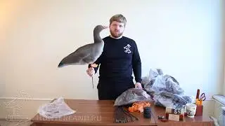 КОМПЛЕКТ ЧУЧЕЛ БЕЛОЛОБОГО ГУСЯ, 