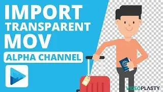 VEGAS Pro Tutorial - How To Import Video with Transparent Background [Enable Alpha Channel]