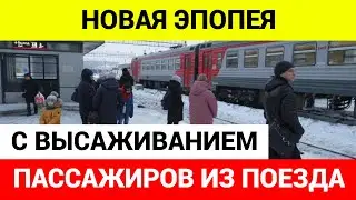 На проводницу, выбросившую кота Твикса из поезда, завели дело