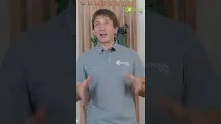 Коты против рассады!