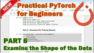 PyTorch Beginner Tutorial - Part 6 (Examine the Shape of the Data)