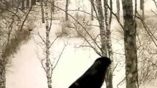 Снегири, город, зима.