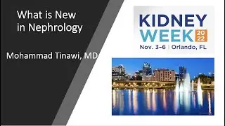 The 7 minutes Nephrology Update. Highlights from Kidney Week 2022